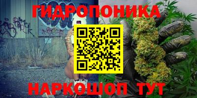 кокс Нальчик