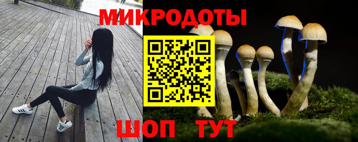 Рузаевка  Галлюциногенные грибы GOLDEN TEACHER  Вход с VPN 