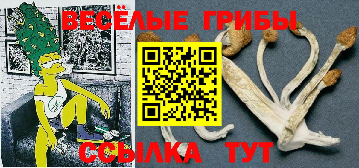 ТГК Рузаевка
